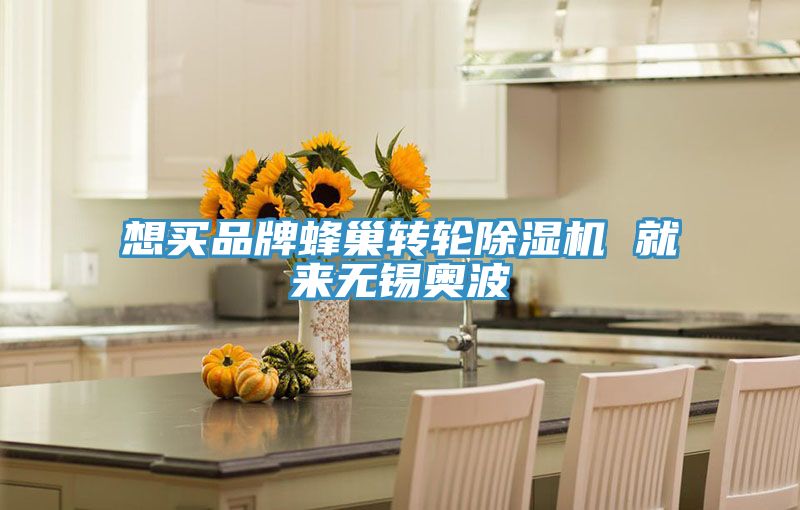 想買品牌蜂巢轉輪除濕機 就來無錫奧波