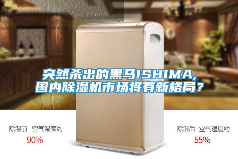 突然殺出的黑馬ISHIMA,國(guó)內(nèi)除濕機(jī)市場(chǎng)將有新格局？