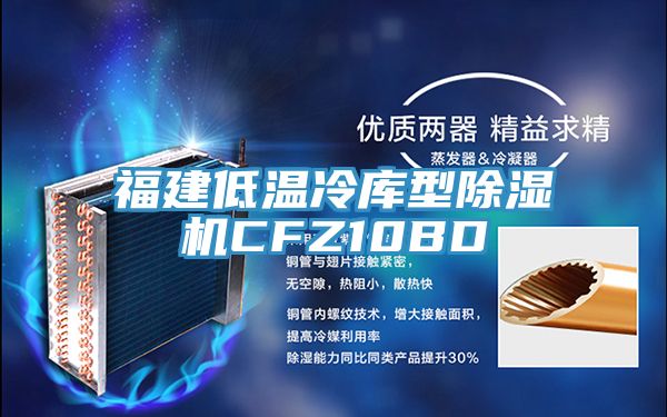 福建低溫冷庫型除濕機CFZ10BD