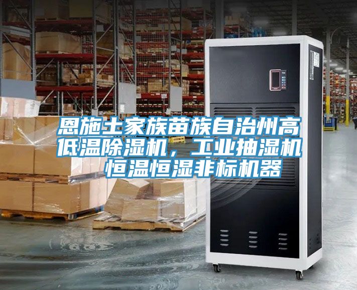 恩施土家族苗族自治州高低溫除濕機(jī)，工業(yè)抽濕機(jī)  恒溫恒濕非標(biāo)機(jī)器