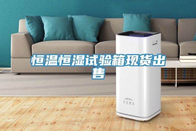 恒溫恒濕試驗箱現貨出售