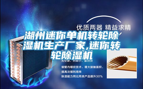 湖州迷你單機轉輪除濕機生產廠家,迷你轉輪除濕機