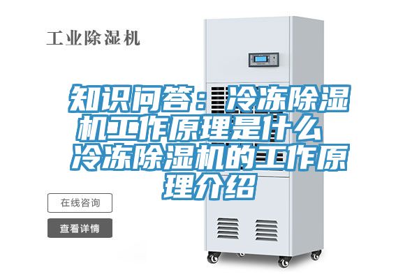 知識問答：冷凍除濕機(jī)工作原理是什么 冷凍除濕機(jī)的工作原理介紹