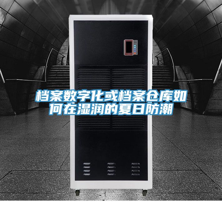 檔案數字化或檔案倉庫如何在濕潤的夏日防潮