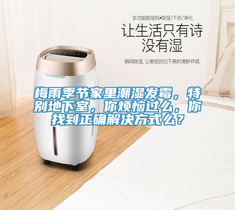 梅雨季節家里潮濕發霉，特別地下室，你煩惱過么，你找到正確解決方式么？