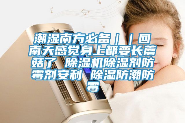 潮濕南方必備||回南天感覺身上都要長蘑菇了 除濕機(jī)除濕劑防霉劑安利 除濕防潮防霉