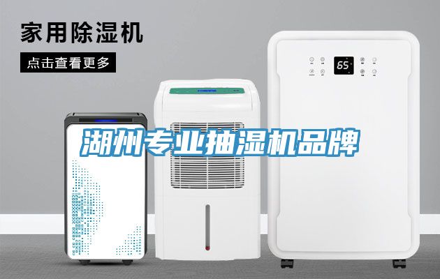 湖州專業抽濕機品牌