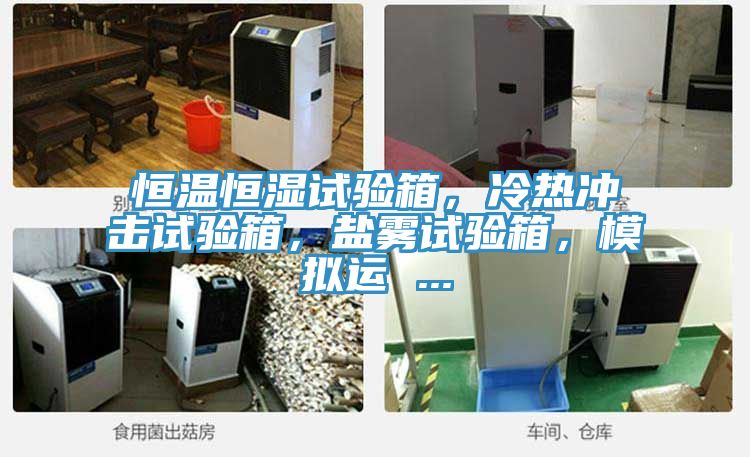 恒溫恒濕試驗箱，冷熱沖擊試驗箱，鹽霧試驗箱，模擬運 ...