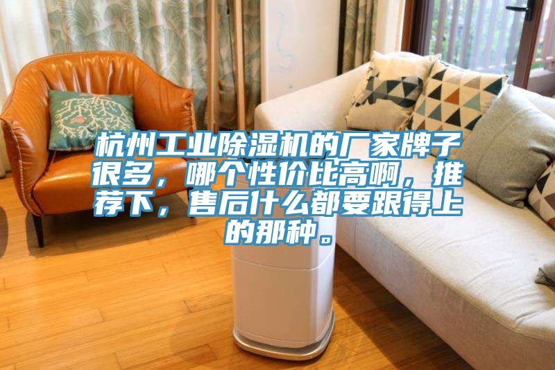 杭州工業除濕機的廠家牌子很多，哪個性價比高啊，推薦下，售后什么都要跟得上的那種。