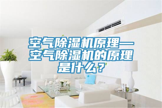 空氣除濕機原理—空氣除濕機的原理是什么？