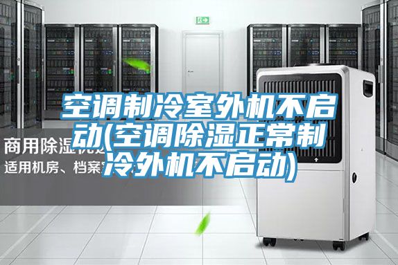 空調(diào)制冷室外機(jī)不啟動(空調(diào)除濕正常制冷外機(jī)不啟動)