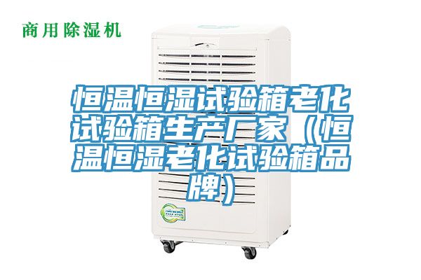 恒溫恒濕試驗箱老化試驗箱生產廠家（恒溫恒濕老化試驗箱品牌）