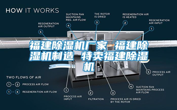 福建除濕機廠家 福建除濕機制造 特賣福建除濕機