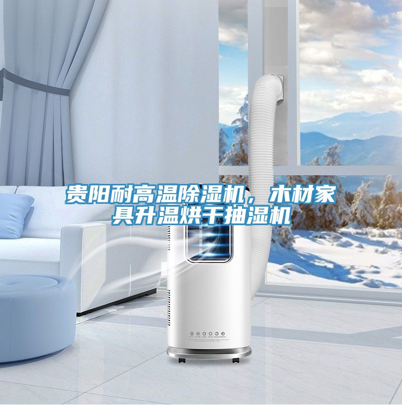 貴陽耐高溫除濕機，木材家具升溫烘干抽濕機