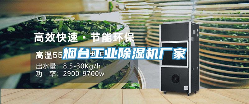 煙臺工業除濕機廠家