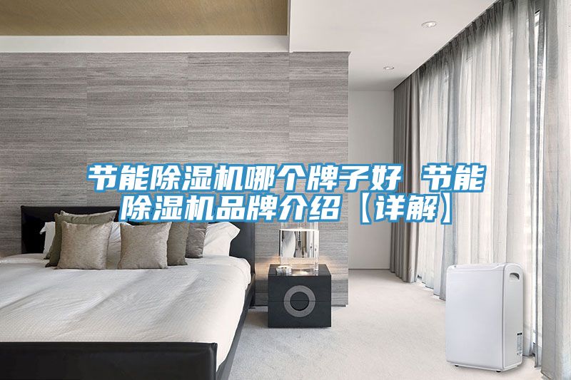 節能除濕機哪個牌子好 節能除濕機品牌介紹【詳解】