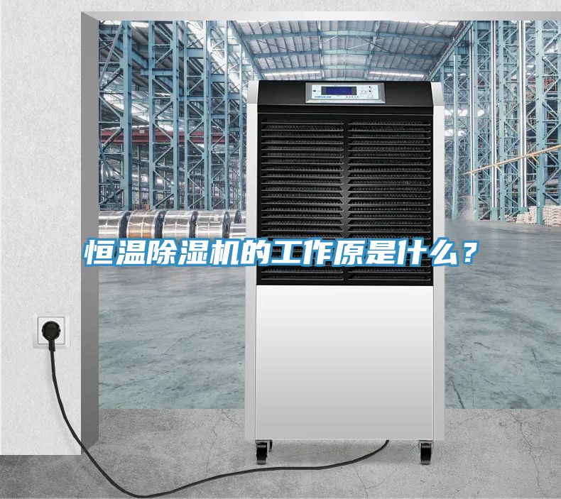恒溫除濕機的工作原是什么？