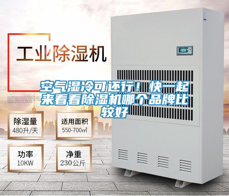 空氣濕冷可還行!快一起來看看除濕機哪個品牌比較好