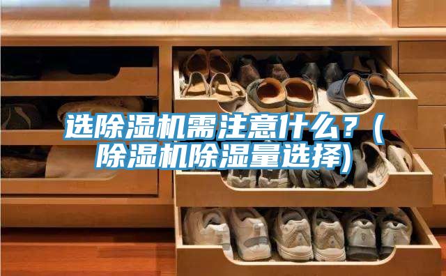 選除濕機需注意什么？(除濕機除濕量選擇)