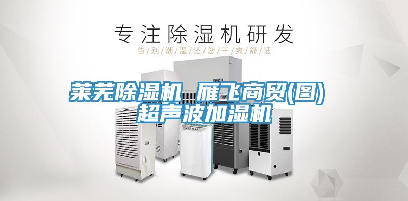 萊蕪除濕機 雁飛商貿(圖) 超聲波加濕機