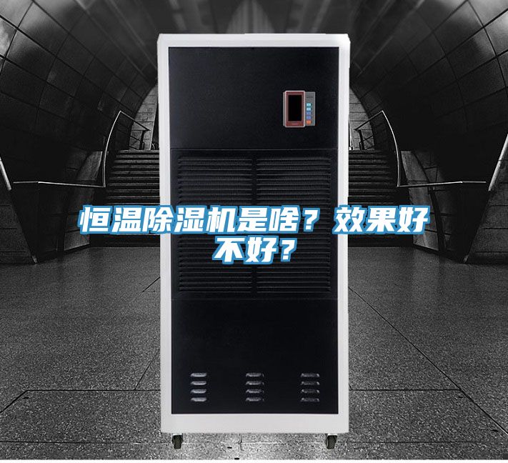 恒溫除濕機是啥？效果好不好？