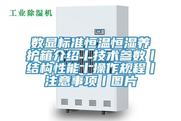 數顯標準恒溫恒濕養護箱介紹丨技術參數丨結構性能丨操作規程丨注意事項丨圖片