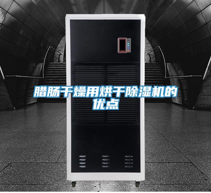 臘腸干燥用烘干除濕機的優點
