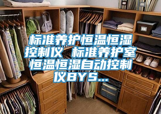 標(biāo)準(zhǔn)養(yǎng)護(hù)恒溫恒濕控制儀 標(biāo)準(zhǔn)養(yǎng)護(hù)室恒溫恒濕自動控制儀BYS...