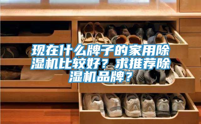 現在什么牌子的家用除濕機比較好？求推薦除濕機品牌？