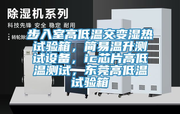 步入室高低溫交變濕熱試驗箱，簡易溫升測試設(shè)備，ic芯片高低溫測試，東莞高低溫試驗箱