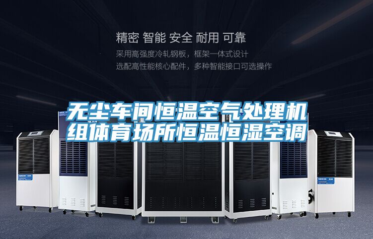 無塵車間恒溫空氣處理機組體育場所恒溫恒濕空調