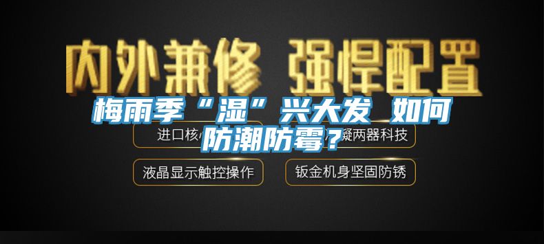 梅雨季“濕”興大發 如何防潮防霉?