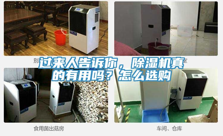 過來人告訴你，除濕機(jī)真的有用嗎？怎么選購