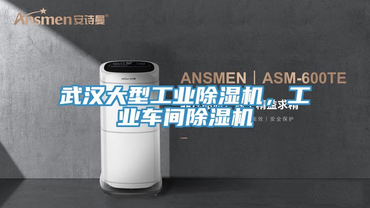 武漢大型工業除濕機,工業車間除濕機