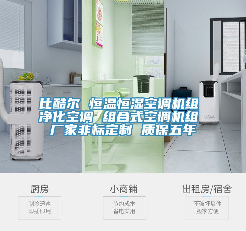 比酷爾 恒溫恒濕空調機組 凈化空調 組合式空調機組 廠家非標定制 質保五年