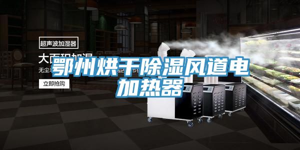 鄂州烘干除濕風道電加熱器