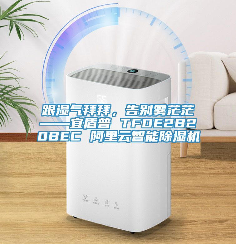 跟濕氣拜拜，告別霧茫茫——宜盾普 TFDE2B20BEC 阿里云智能除濕機(jī)