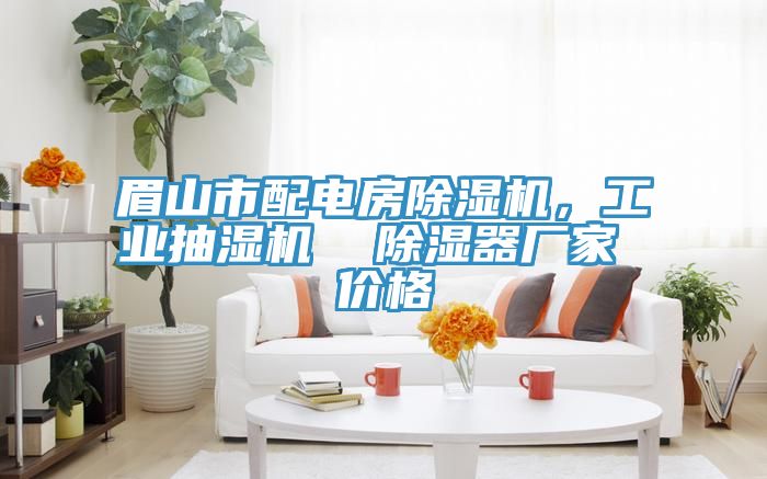 眉山市配電房除濕機(jī)，工業(yè)抽濕機(jī)  除濕器廠家 價格