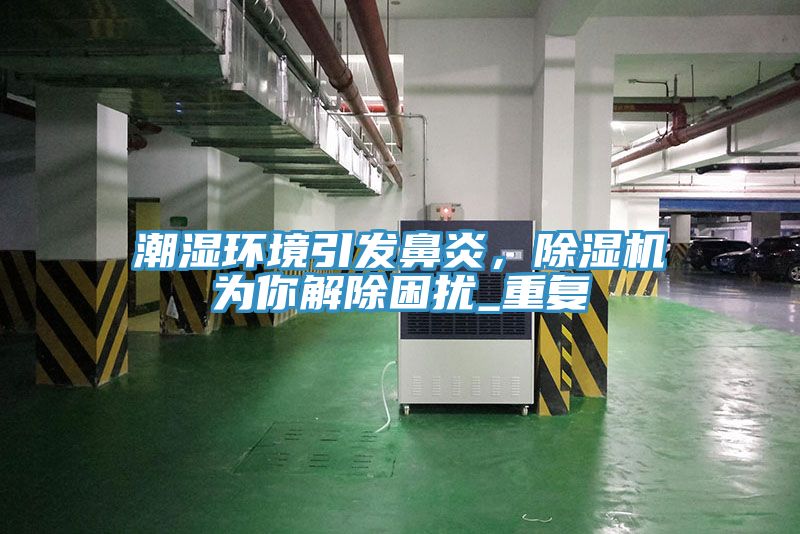 潮濕環境引發鼻炎，除濕機為你解除困擾_重復