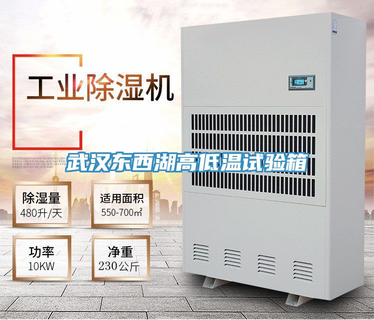 武漢東西湖高低溫試驗箱