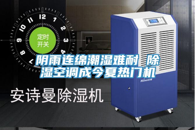 陰雨連綿潮濕難耐 除濕空調成今夏熱門機