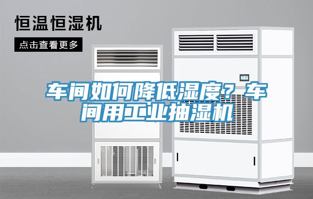 車間如何降低濕度？車間用工業(yè)抽濕機(jī)