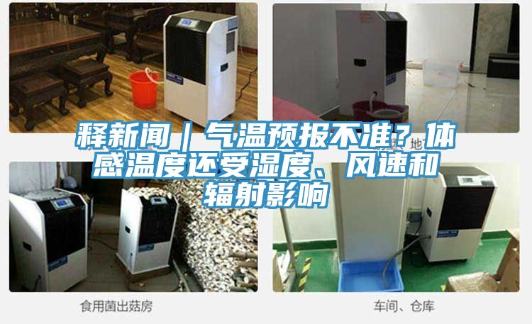 釋新聞｜氣溫預報不準？體感溫度還受濕度、風速和輻射影響