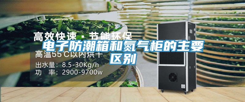 電子防潮箱和氮?dú)夤竦闹饕獏^(qū)別
