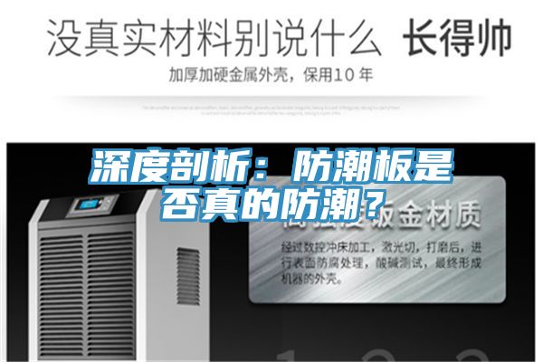 深度剖析:防潮板是否真的防潮?