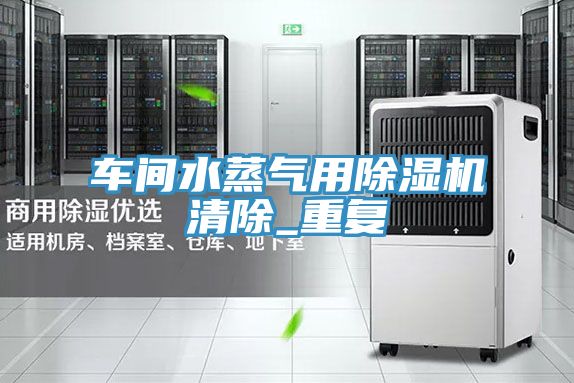車間水蒸氣用除濕機清除_重復