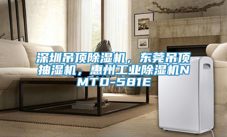 深圳吊頂除濕機，東莞吊頂抽濕機，惠州工業除濕機NMTD-581E