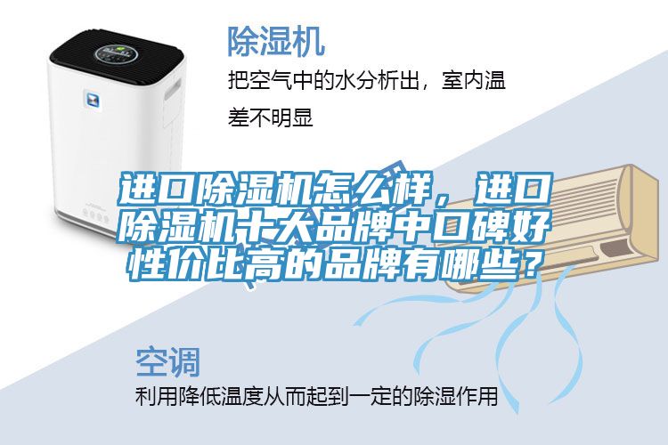 進口除濕機怎么樣，進口除濕機十大品牌中口碑好性價比高的品牌有哪些？