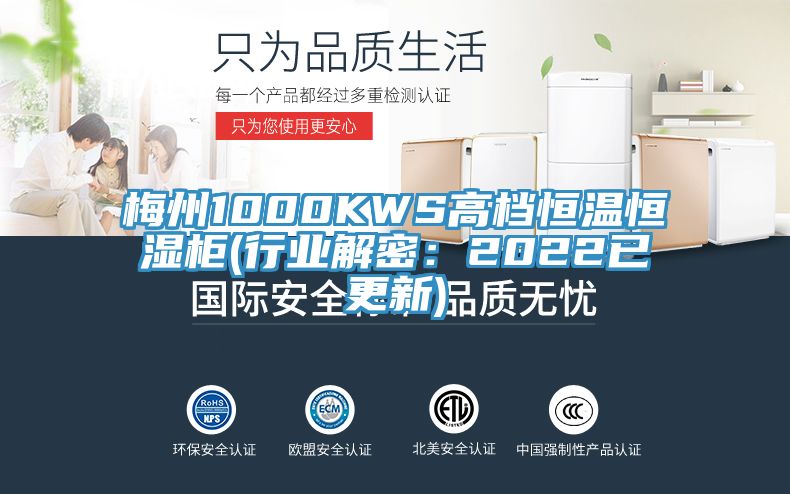 梅州1000KWS高檔恒溫恒濕柜(行業(yè)解密:2022已更新)