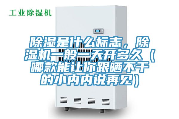除濕是什么標(biāo)志，除濕機(jī)一般一天開(kāi)多久（哪款能讓你跟曬不干的小內(nèi)內(nèi)說(shuō)再見(jiàn)）